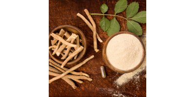 Ashwagandha et cortisol : ce que vous ne savez sûrement pas