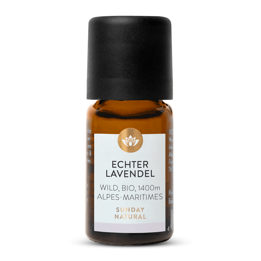Echtes Lavendelöl Bio Wild 1400m 5ml