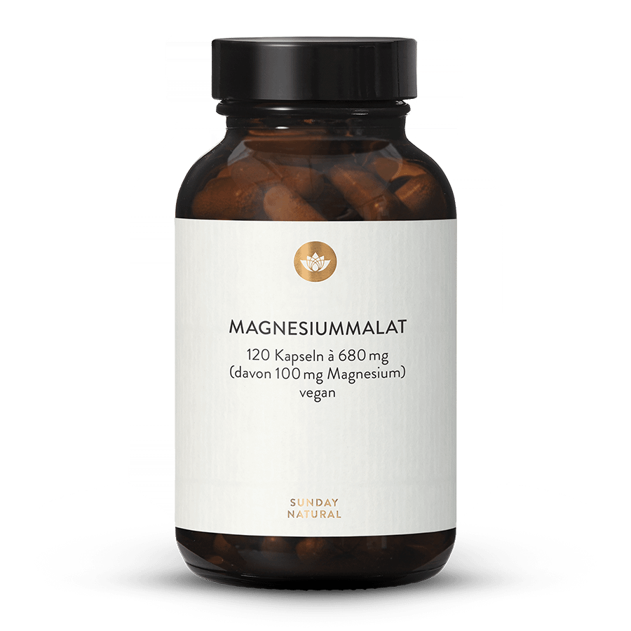 Magnesium Malat Kapseln 120 Kapseln