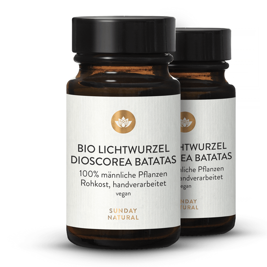 Igname de Chine bio 2 x 30 g