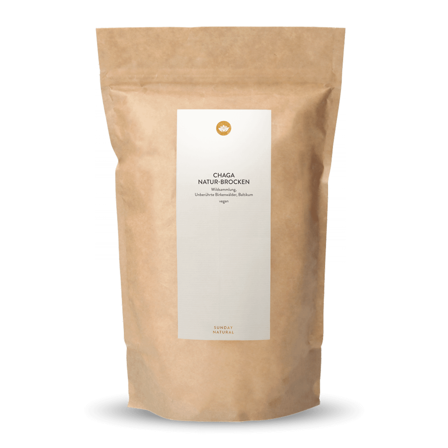 Chaga Pilz Brocken Wildsammlung 300g