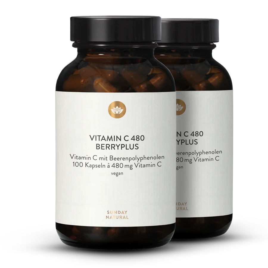 Vitamine C 480 Berryplus 2 x 100 gélules