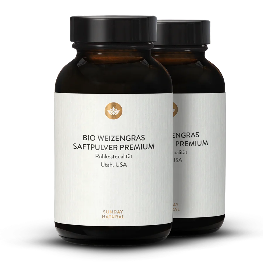 Bio Weizengras Saftpulver 2x100g