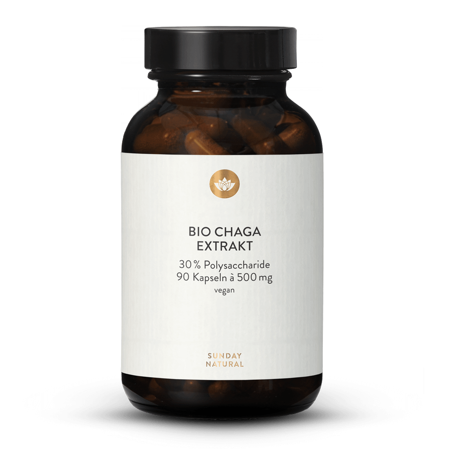 Extrait de chaga bio 30 % de polysaccharides en gélules 90 gélules