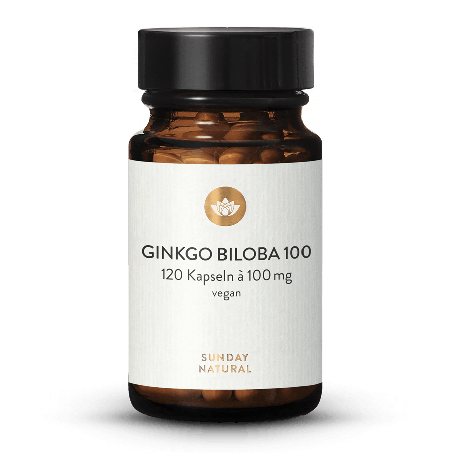Ginkgo Biloba 100mg 45:1 Extrakt 120 Kapseln
