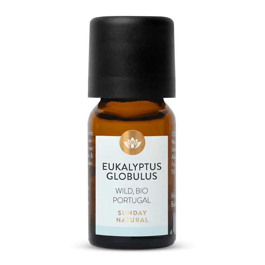 Huile essentielle d'eucalyptus bio, sauvage 10 ml