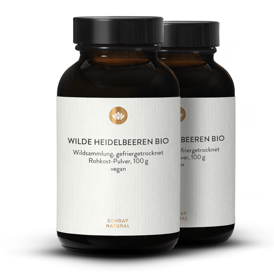 Bio Wilde Heidelbeeren Pulver 2x100g