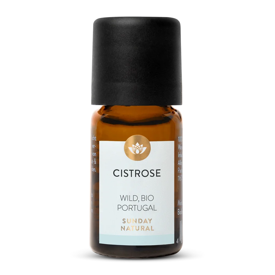 Huile essentielle de ciste bio, sauvage 500 m 5 ml