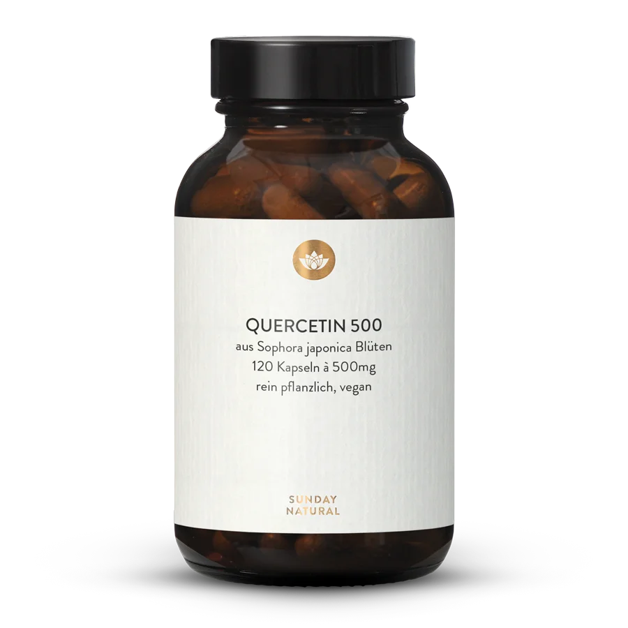 Quercetin 500 120 Kapseln