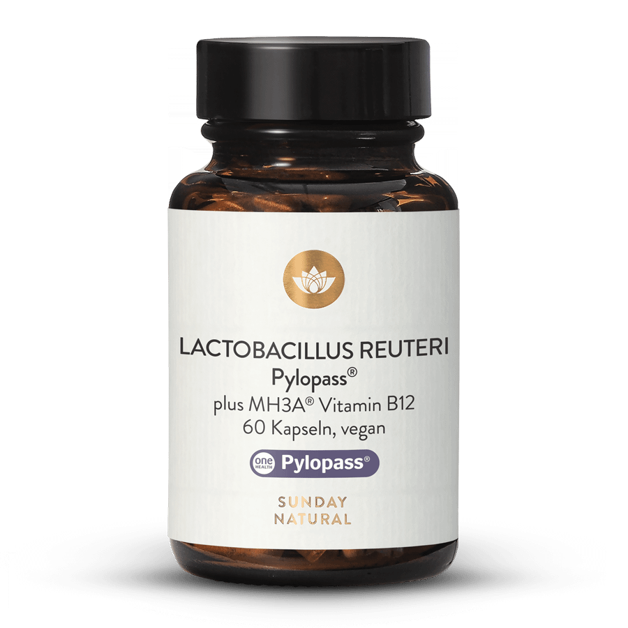 Lactobacillus Reuteri Pylopass® 60 Kapseln