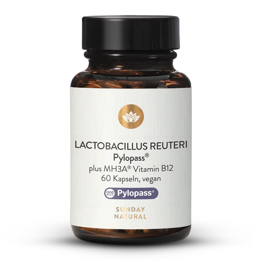 Limosilactobacillus reuteri Pylopass® 60 capsules