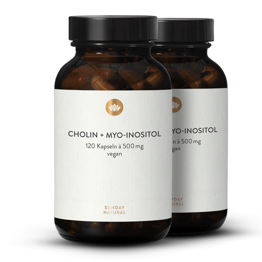 Choline + Myo-Inositol Complex 2x120 capsules