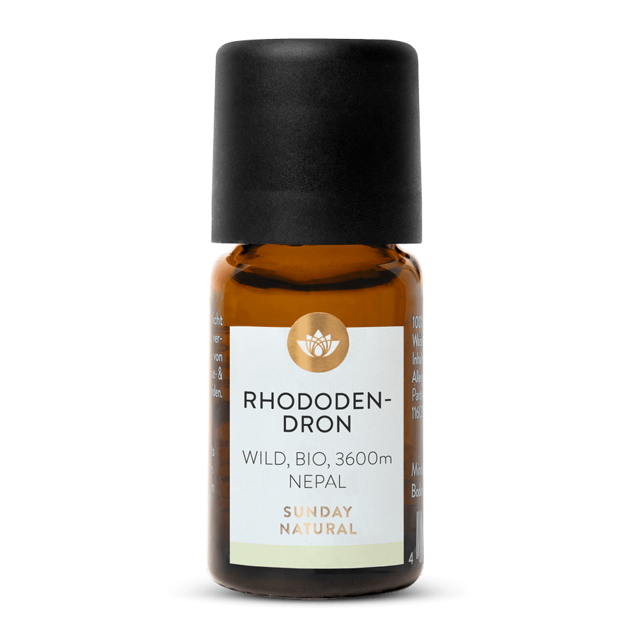 Rhododendronöl Wild Bio 3600m 5ml