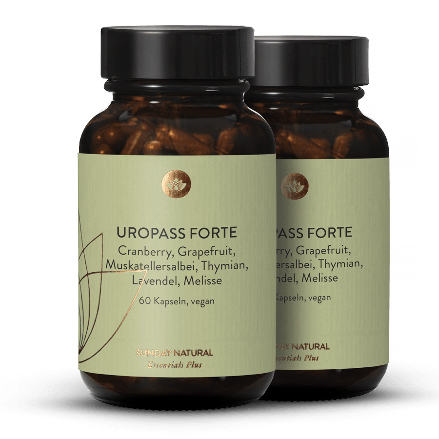 Uropass Forte 2 x 60 gélules