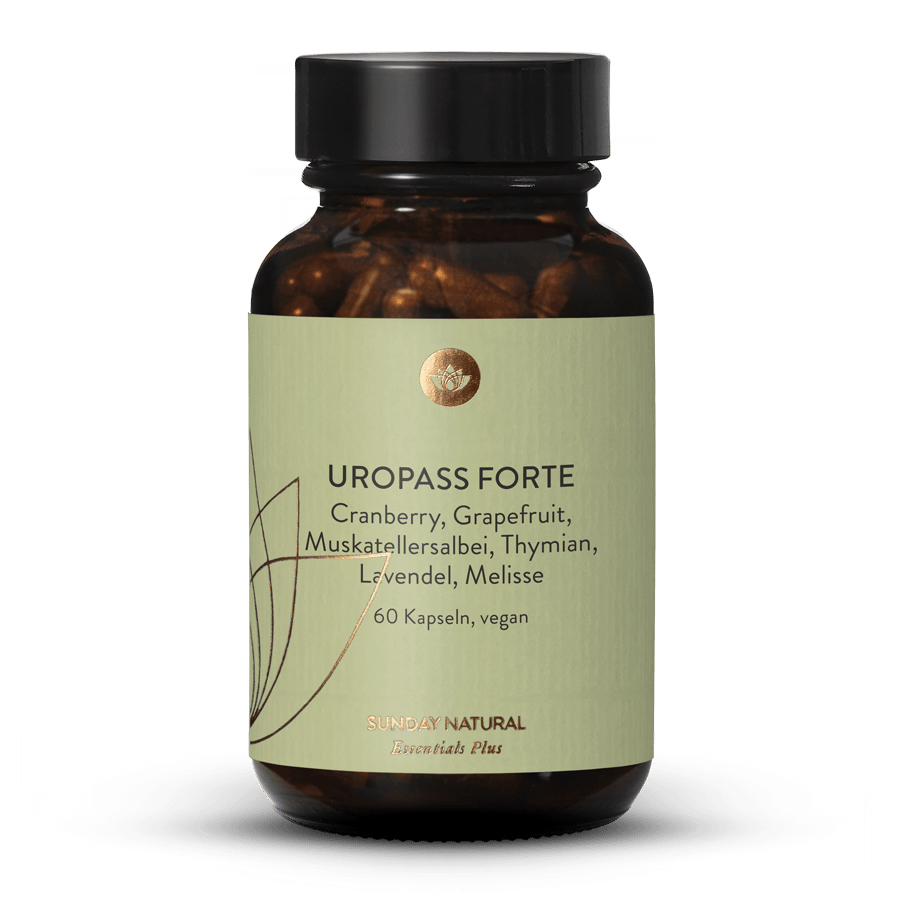 Uropass Forte 60 Kapseln