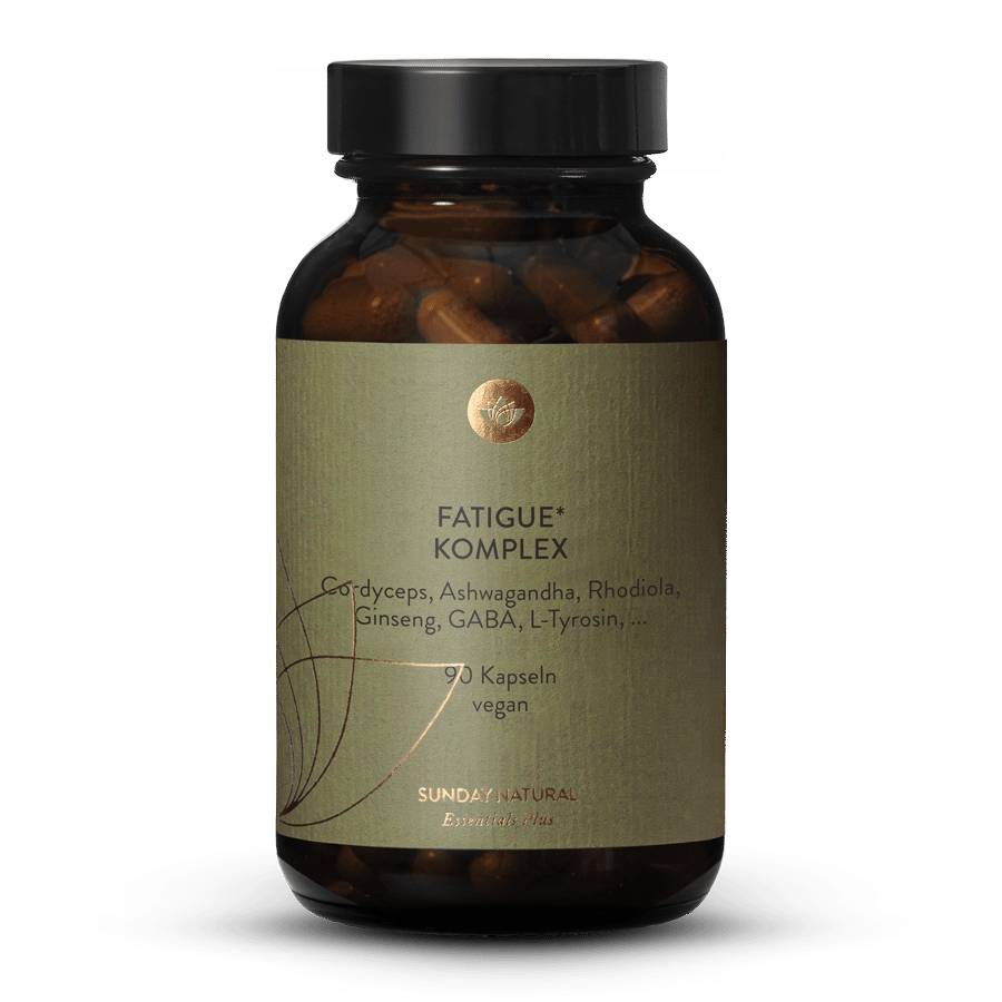 Fatigue Komplex 90 Kapseln