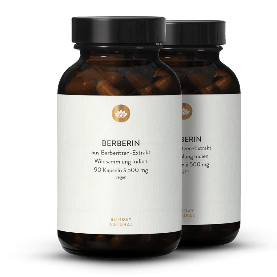Berbérine 500 mg en gélules 2 x 90 gélules