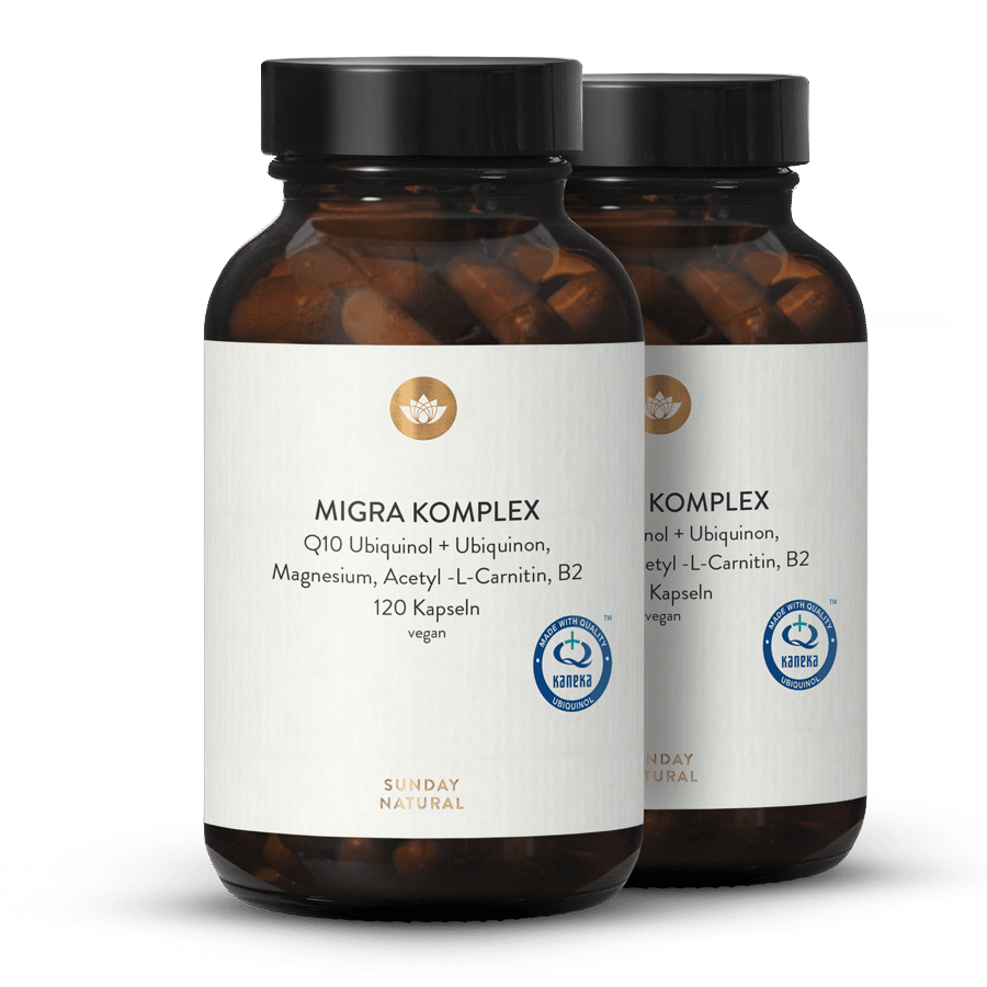 Migra Energy Komplex Q10, Magnesium, B2, Acetyl-L-Carnitin 2x120 Kapseln