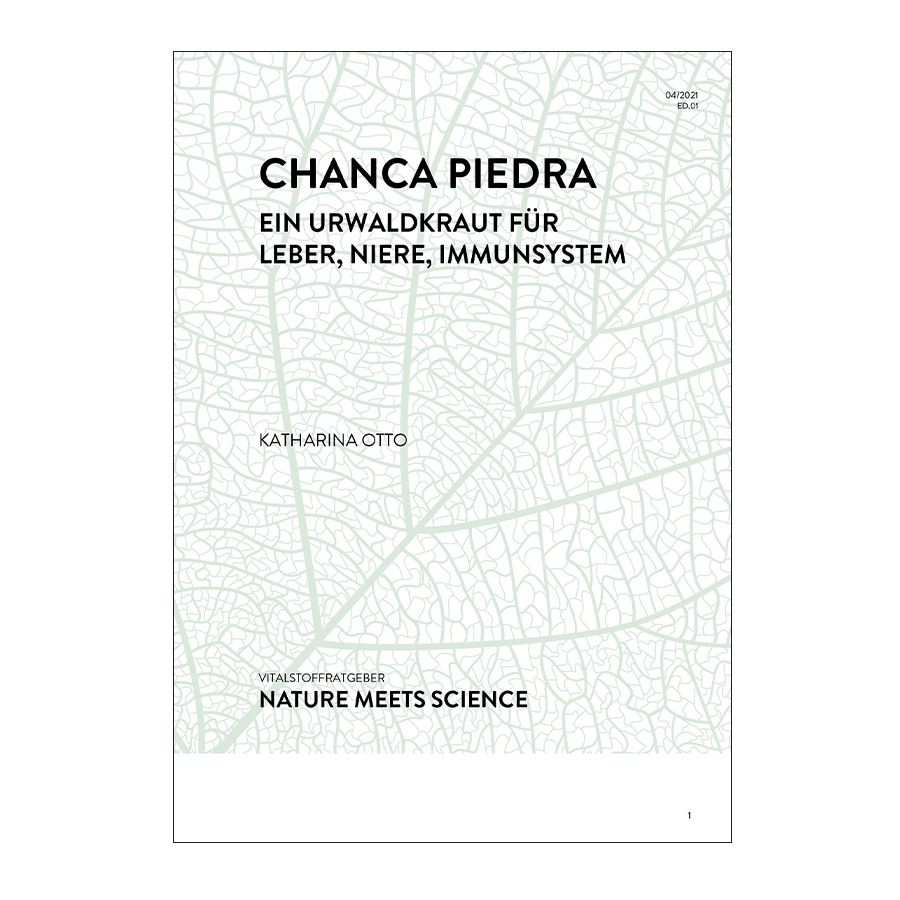 Chanca Piedra 1 pcs