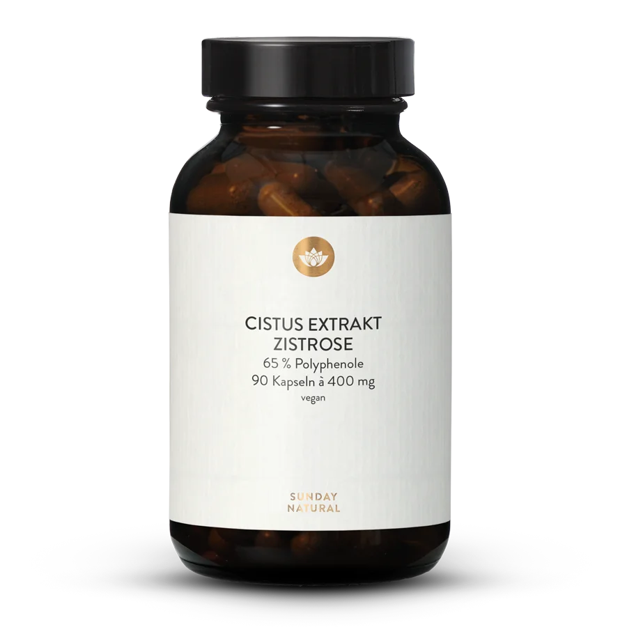 Cistus Extrakt 400mg Kapseln 90 Kapseln