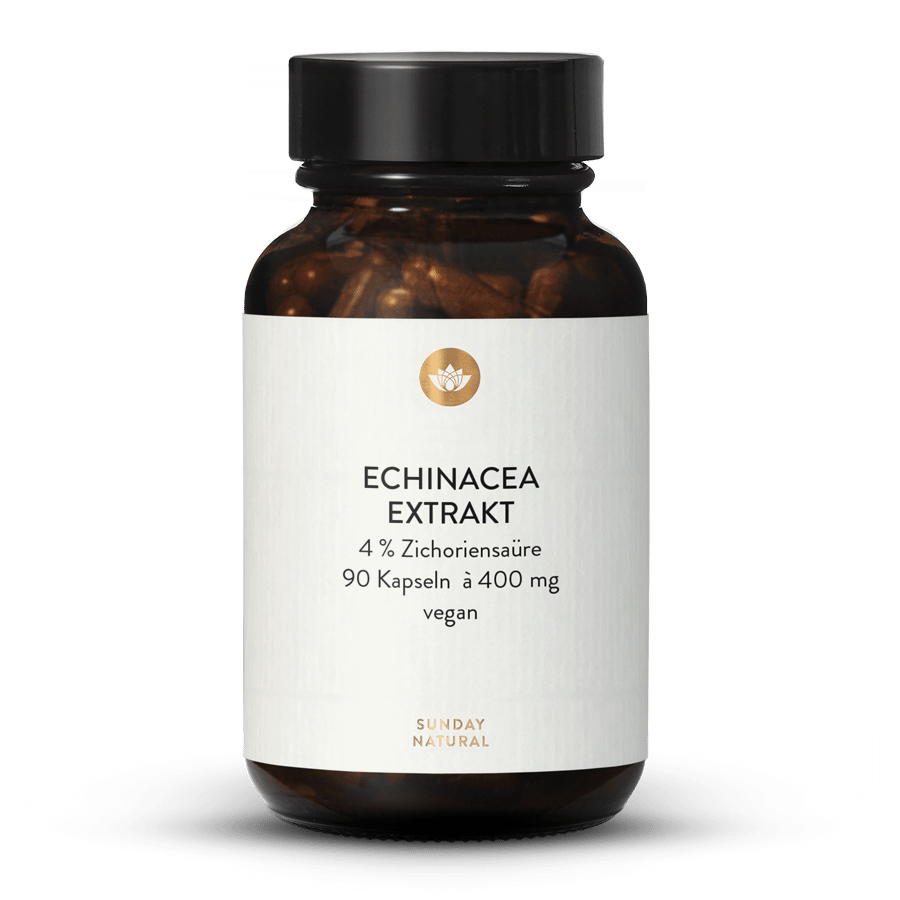 Echinacea Extrakt 400mg Kapseln 90 Kapseln