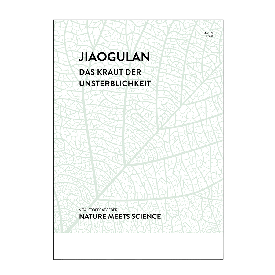 Jiaogulan 1 pcs