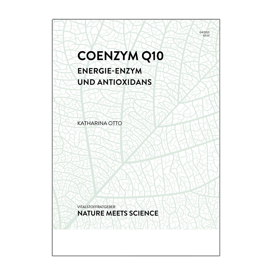 Coenzym Q10 1 pcs
