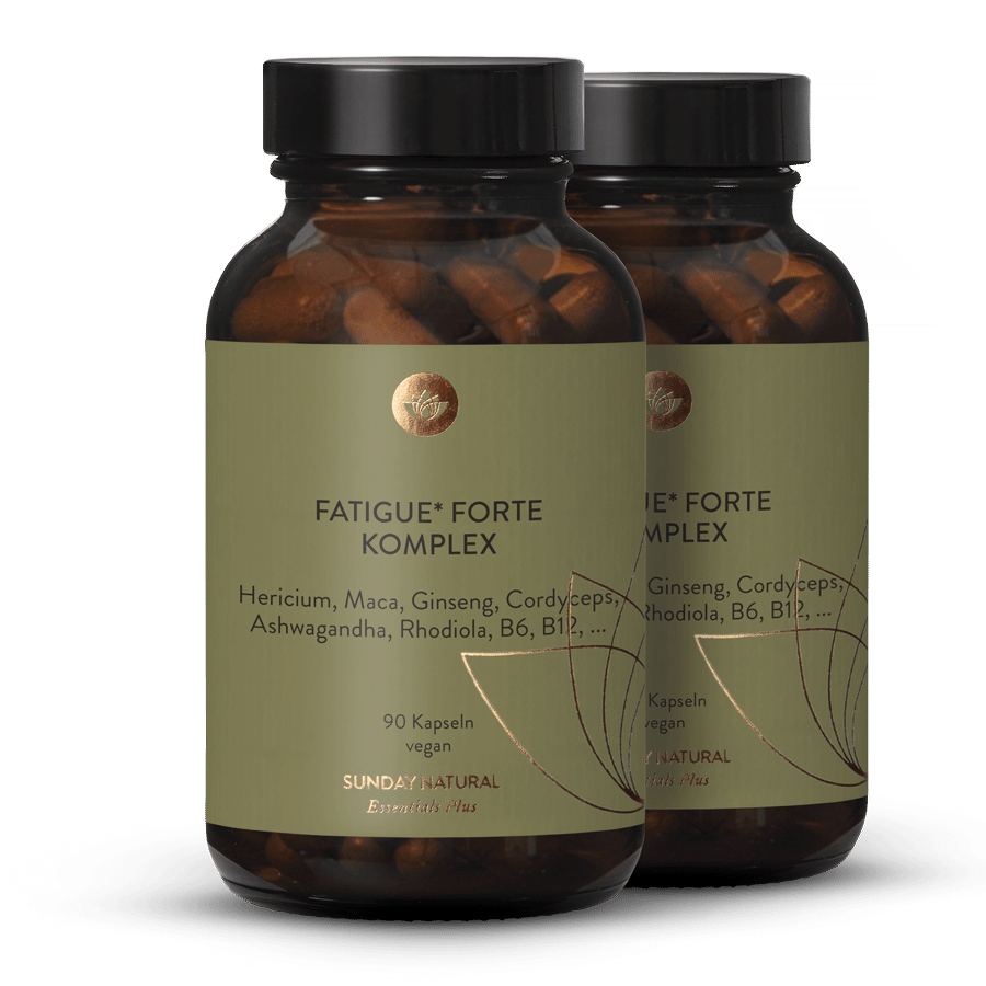 Fatigue Forte Komplex 2x90 Kapseln