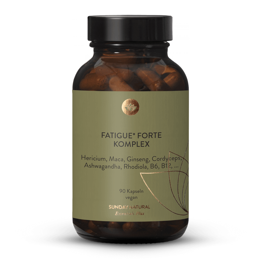 Fatigue Forte Komplex 90 Kapseln