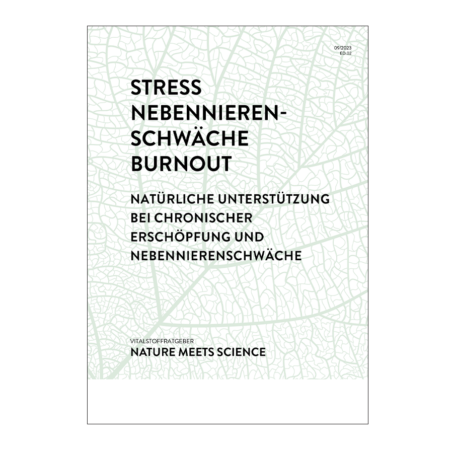 Stress & Burnout 1 pcs