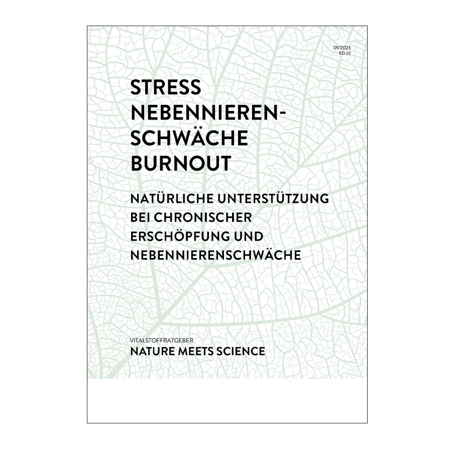 Stress & Burnout 1 pcs