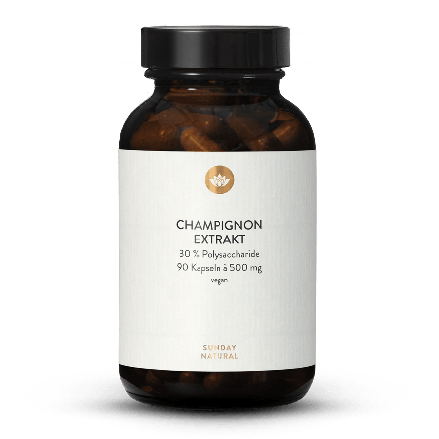 Champignon Extrakt Kapseln 90 Kapseln