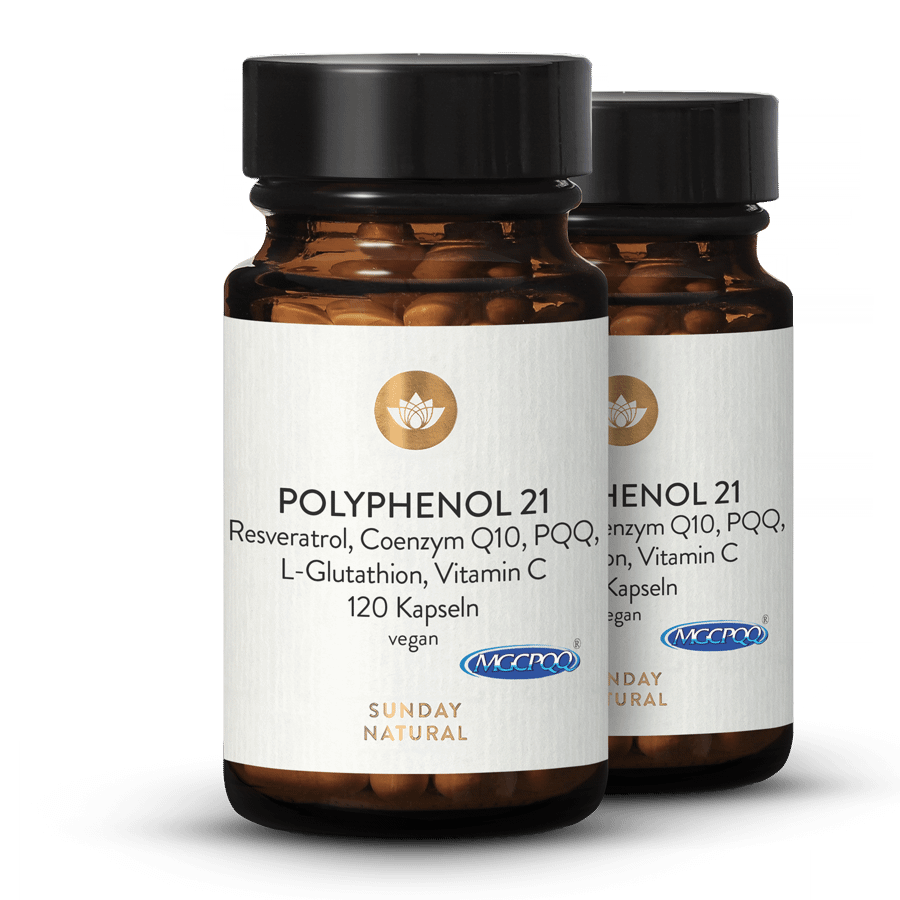 Polyphenol 21 Komplex 2x120 Kapseln
