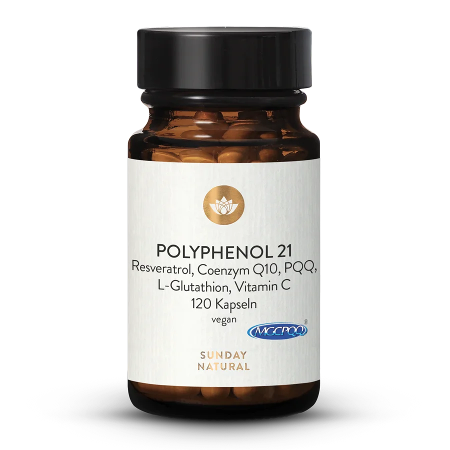 Polyphenol 21 Complex 120 capsules
