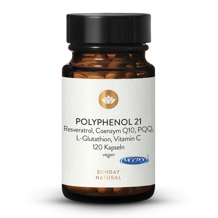 Polyphenol 21 Komplex 120 Kapseln