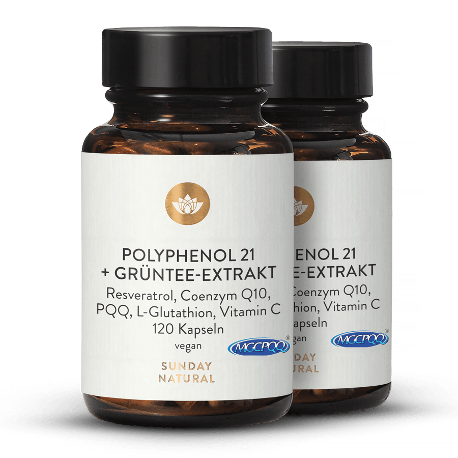 Polyphénols 21  + extrait de thé vert 2 x 120 gélules