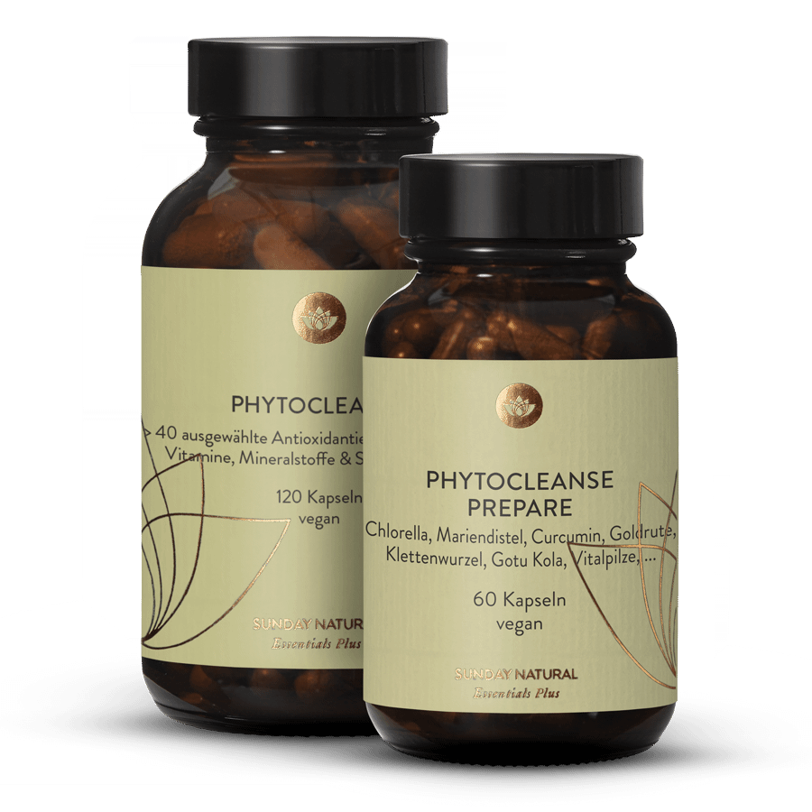 Phytocleanse Coffret 180 gélules