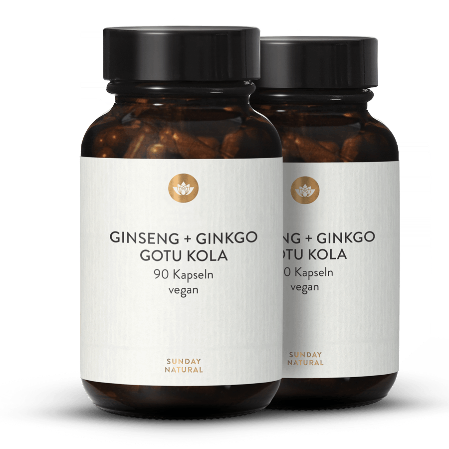 Ginkgo Ginseng Gotu Kola Komplex 2x90 Kapseln