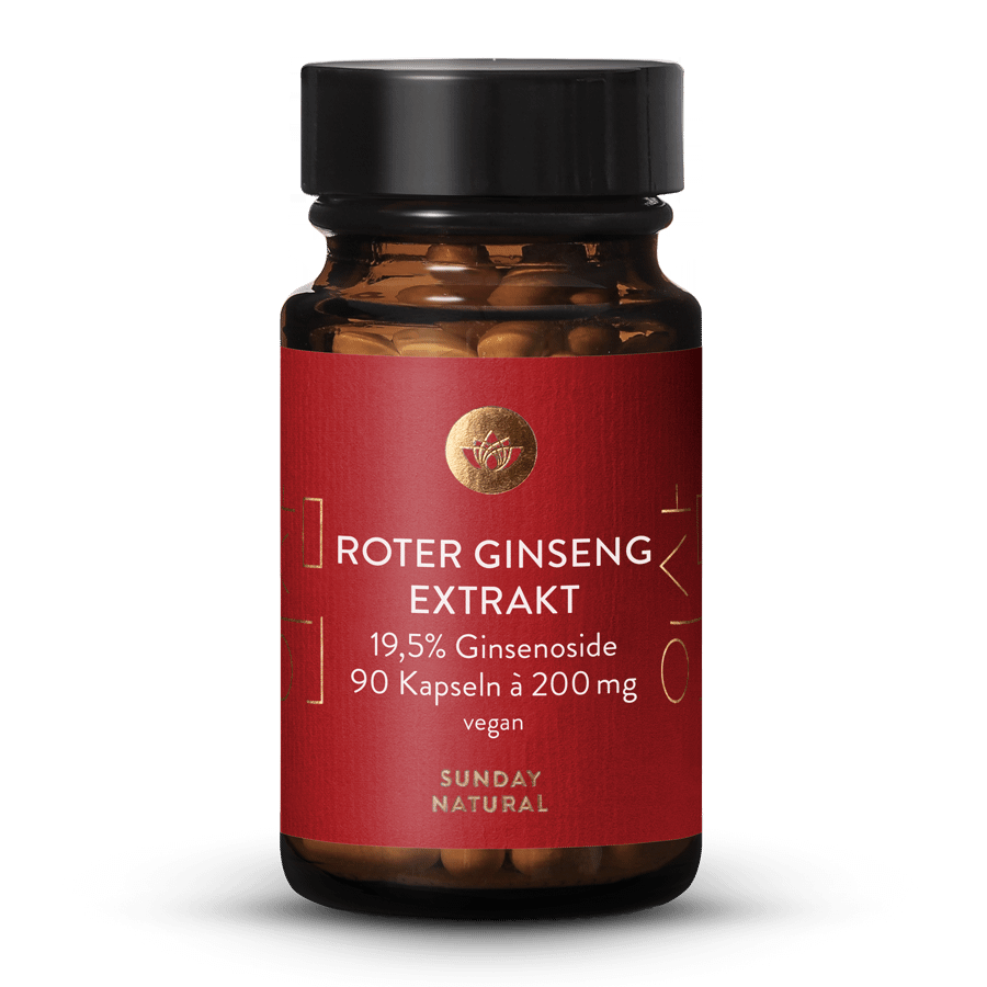 Extrait de ginseng rouge 19,5 % 90 gélules