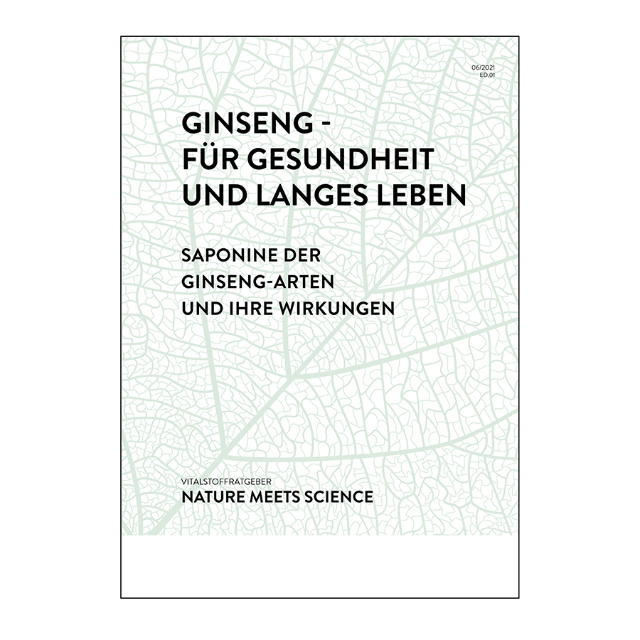 Ginseng 1 pcs