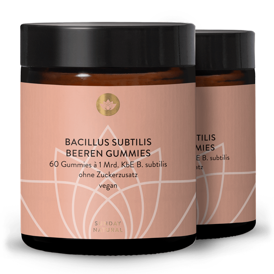 Bacillus Subtilis Beeren Gummies 2x60 Gummies
