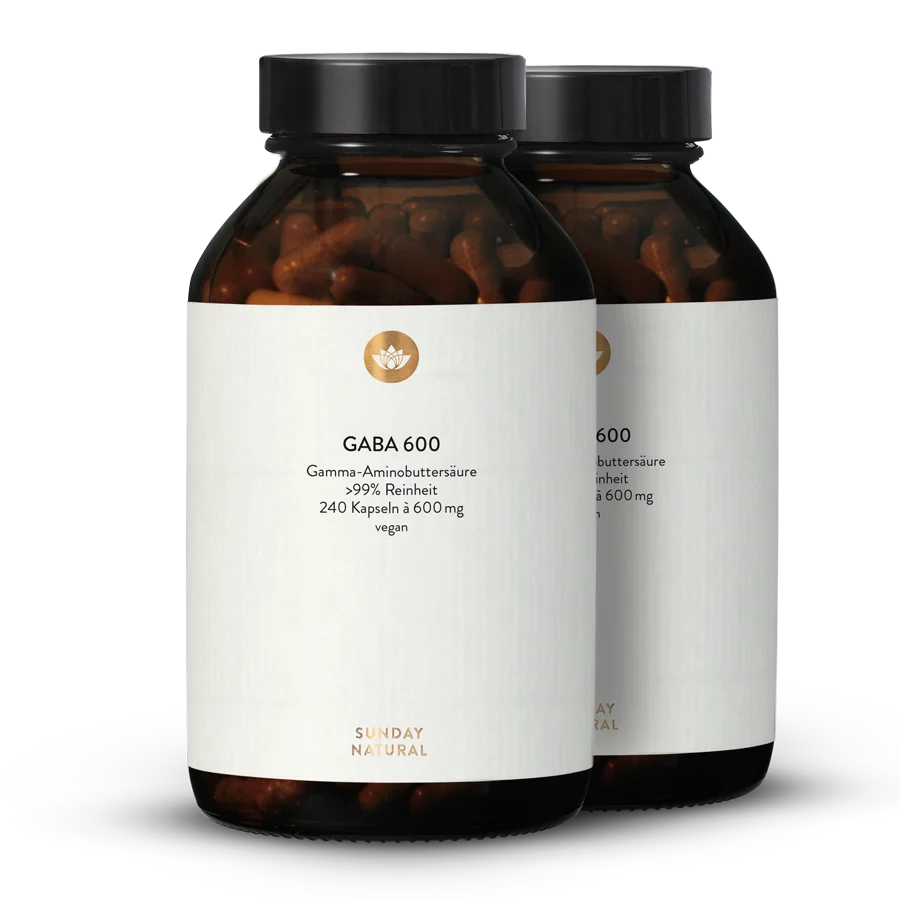 Gaba 600 Mg En Gélules 2 x 240 gélules