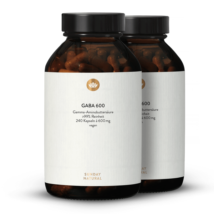 GABA 600 mg Capsules 2x240 capsules