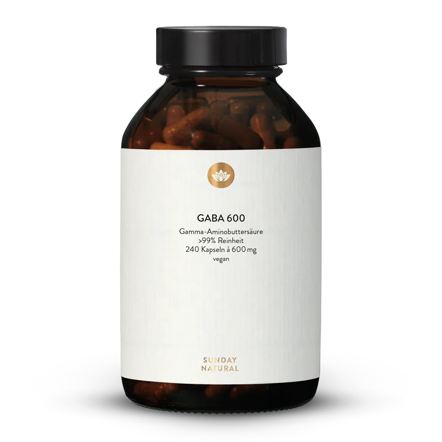 Gaba 600 Mg En Gélules 240 gélules