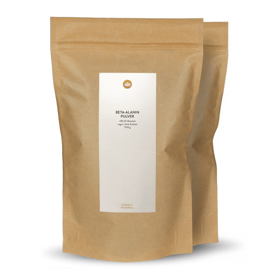 Beta-Alanin Pulver 2x500g
