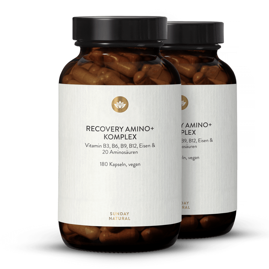 Recovery Amino+ Complex 2x180 capsules