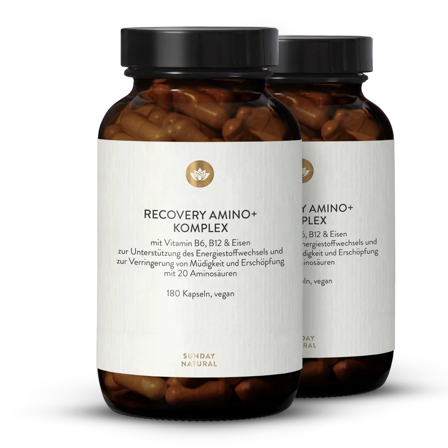 Recovery Amino+ Complex 2x180 capsules