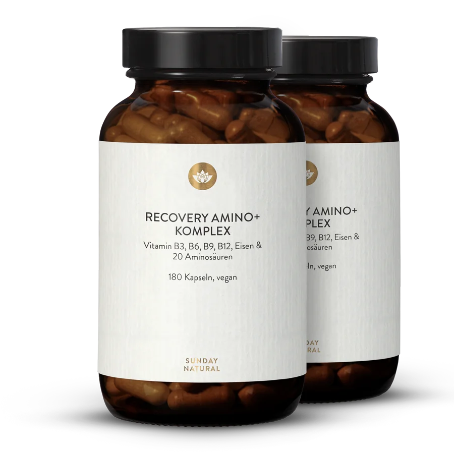 Recovery Amino+ Komplex 2x180 Kapseln