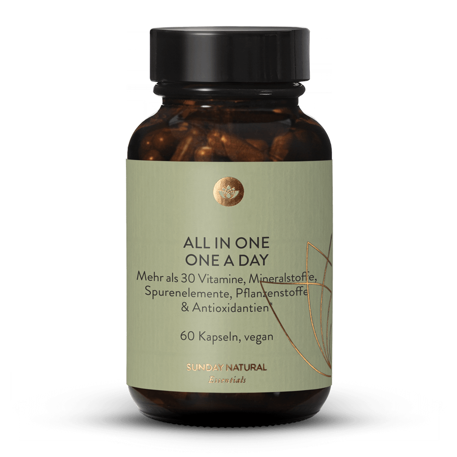 All In One One A Day 60 Kapseln