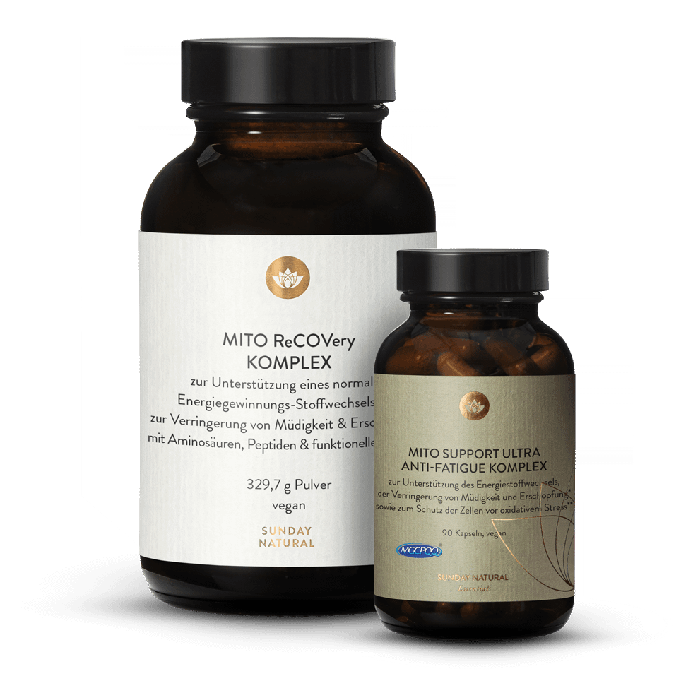 Mito-Basis-Set Mito Support Ultra + ReCOVery 1 St.